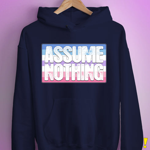 Assume Nothing Bigender Pride Flag Hoodie - Navy